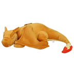 Pokémon Charizard Sleeping Stuffed Plush Soft Toy 50cm Cute Collector Gift