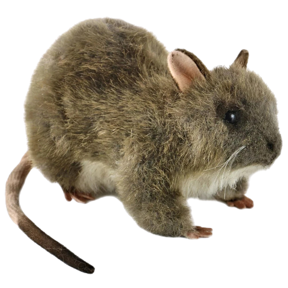 Hansa 19cm Rat Plush Soft Toy Animal Teddy Gift for Rat Lovers Lincrafts Uk 7236 Cute Cuddly