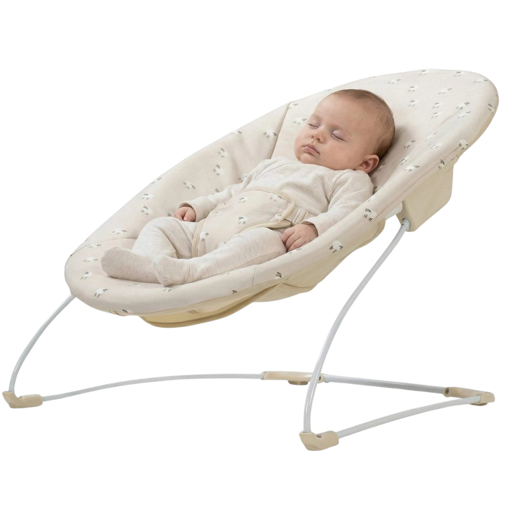 Red Kite Quiet Time Bambino Baby Bouncer Seat Flossie Infant Bouncing Chair New