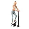 Adjustable Handlebar Twist Stepper with LCD Display