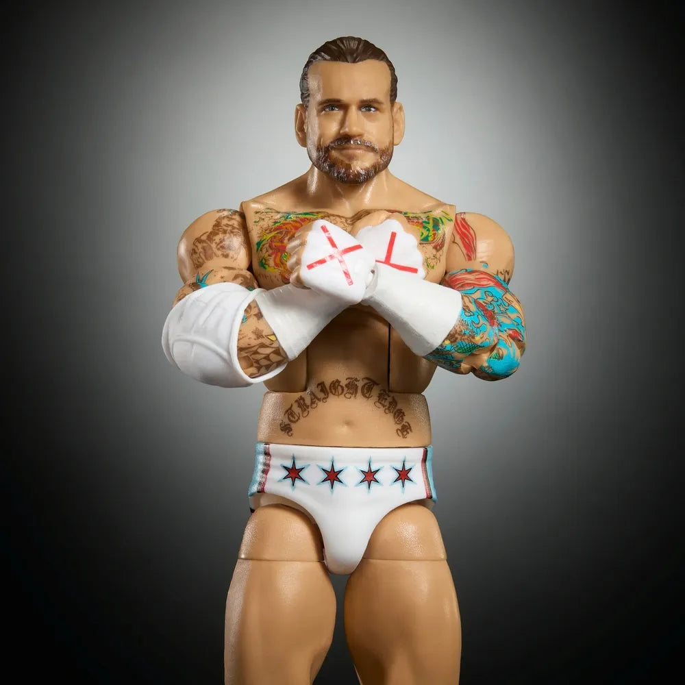 WWE Series 121 Elite Collection Action Figure – CM Punk