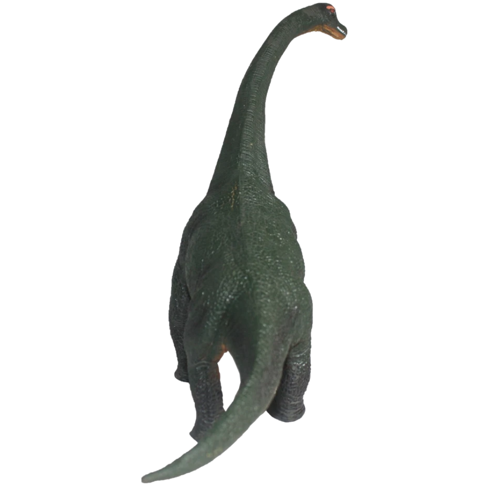 Brachiosaurus Dinosaur Figure 33cm, Solid PVC Jurassic Action Toy Gift for Kids Age 3+