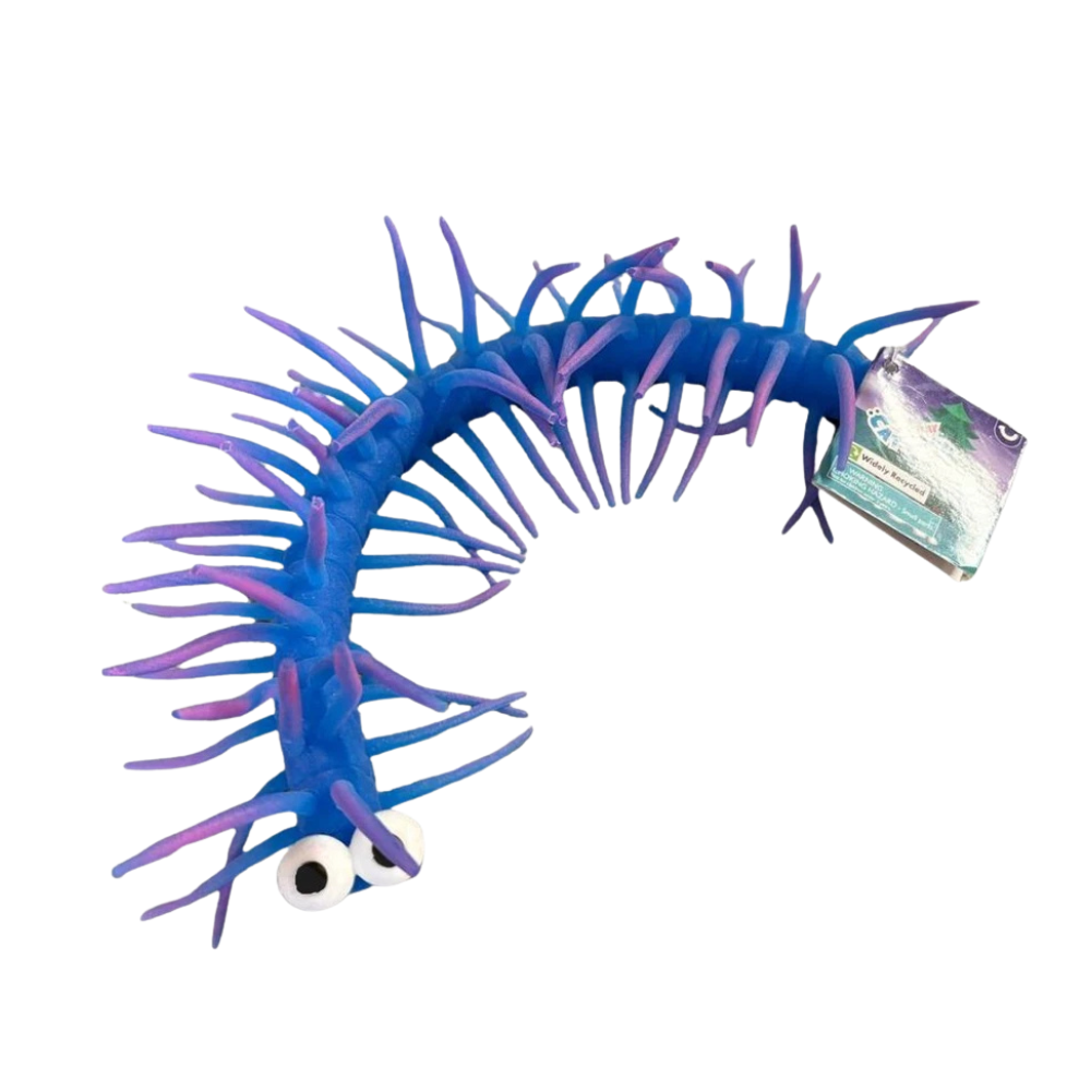 Stretchy Hairy Caterpillar Fidget Toy with Bulging Eyes, Sensory Wiggly Toy for Kids