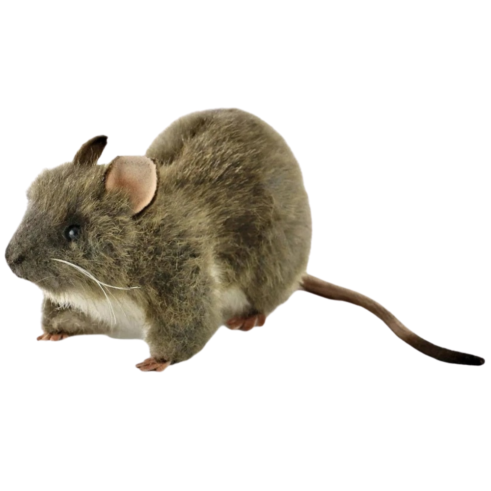 Hansa 19cm Rat Plush Soft Toy Animal Teddy Gift for Rat Lovers Lincrafts Uk 7236 Cute Cuddly