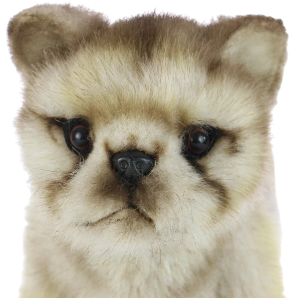 Hansa Wolf Cub Plush Soft Toy Animal Teddy Gift for Children Wolves Present 6727 Cute Cuddly Toy