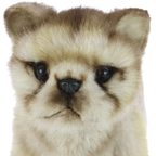 Hansa Wolf Cub Plush Soft Toy Animal Teddy Gift for Children Wolves Present 6727 Cute Cuddly Toy