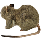 Hansa 19cm Rat Plush Soft Toy Animal Teddy Gift for Rat Lovers Lincrafts Uk 7236 Cute Cuddly