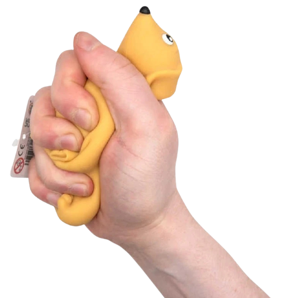 Stretchy Sausage Dog Sensory Fidget Toy Squishy Tactile Stress Relief Kids Adults
