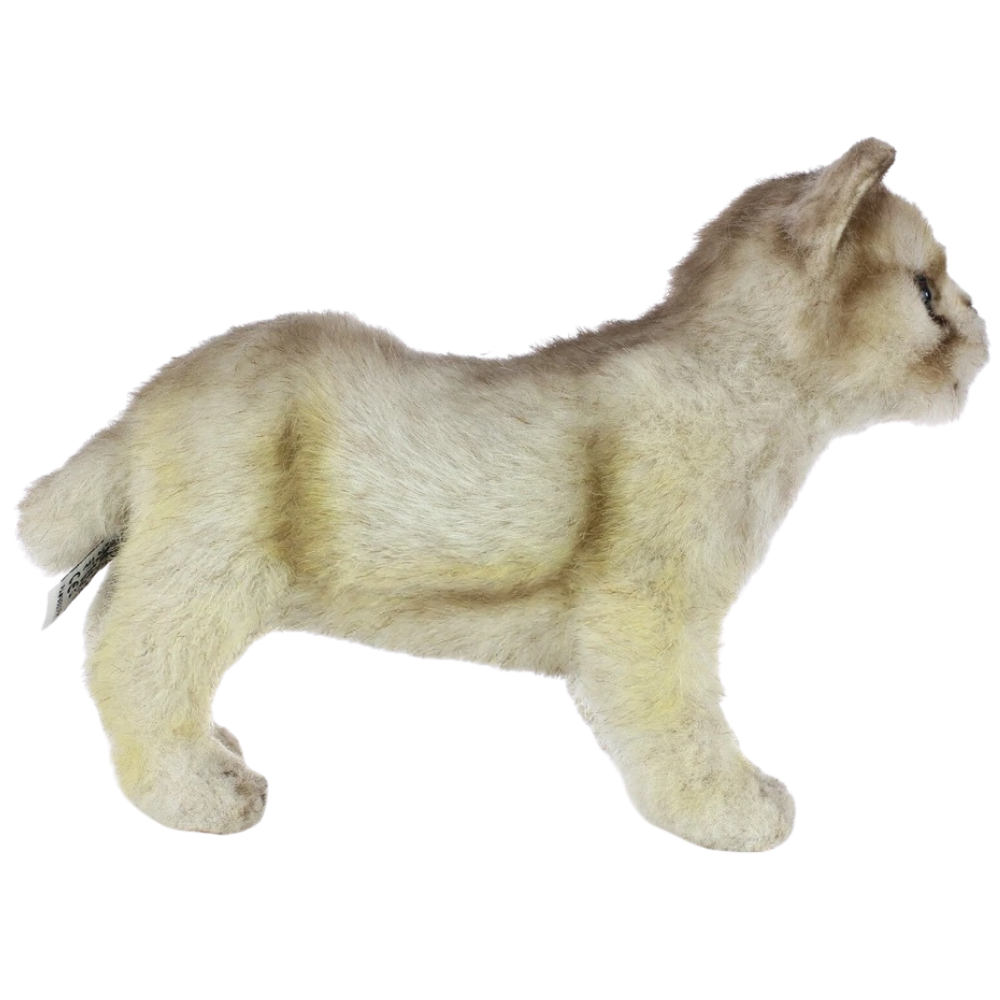 Hansa Wolf Cub Plush Soft Toy Animal Teddy Gift for Children Wolves Present 6727 Cute Cuddly Toy