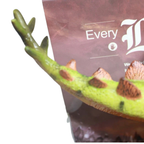 Stegosaurus Dinosaur Toy Jurassic Dino Figure Boxed Gift for Boys Girls Kids Age 3+