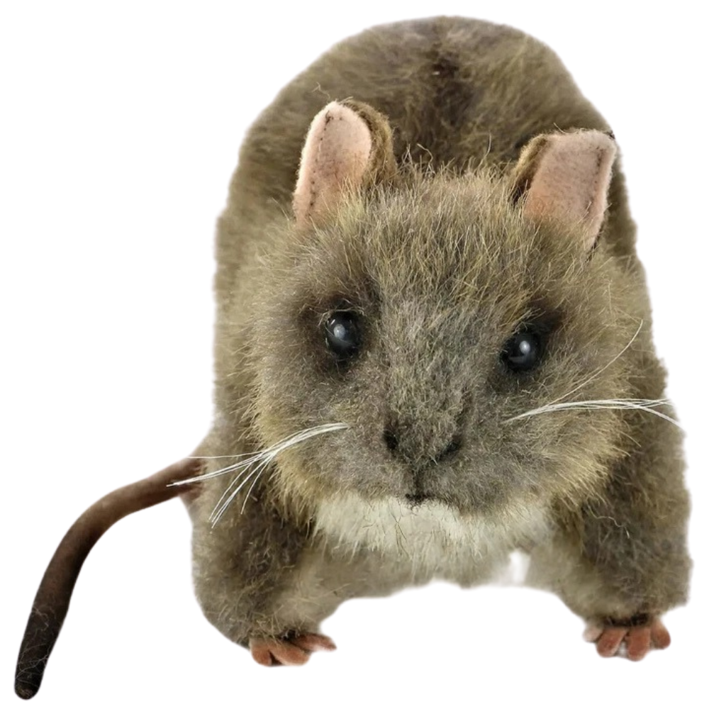 Hansa 19cm Rat Plush Soft Toy Animal Teddy Gift for Rat Lovers Lincrafts Uk 7236 Cute Cuddly