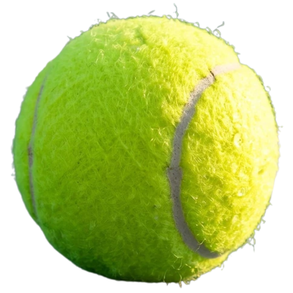 Tennis Set for Kids Outdoor Play with Junior Rackets and Ball Sports Game for Children