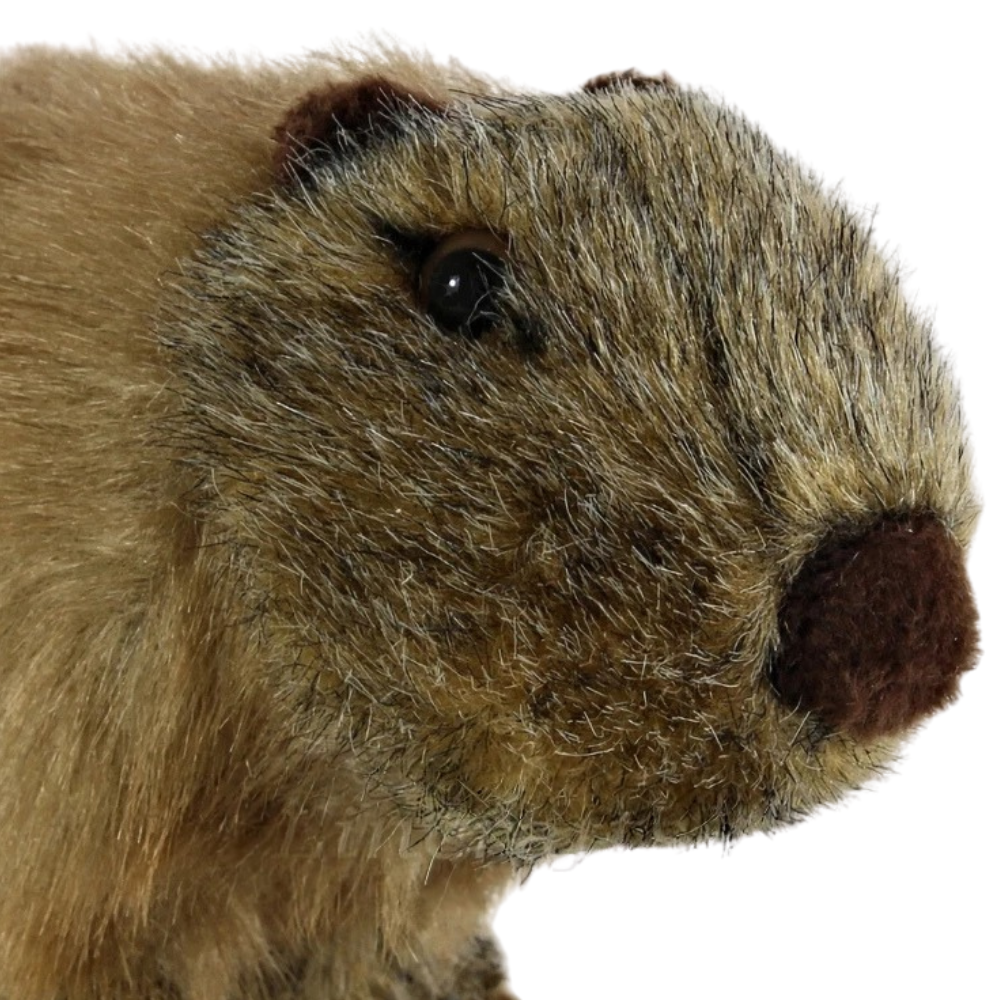 Living Nature Capybara 20cm Plush Soft Toy Animal Teddy Wildlife Gift Cute Cuddly Nature Toy