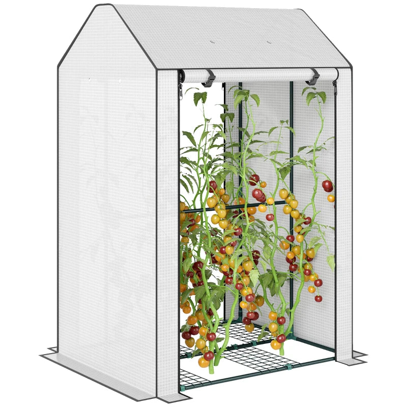 Mini Greenhouse with 4 Shelves & Roll-Up Door, Portable Grow House for Plants, 100x80x150 cm