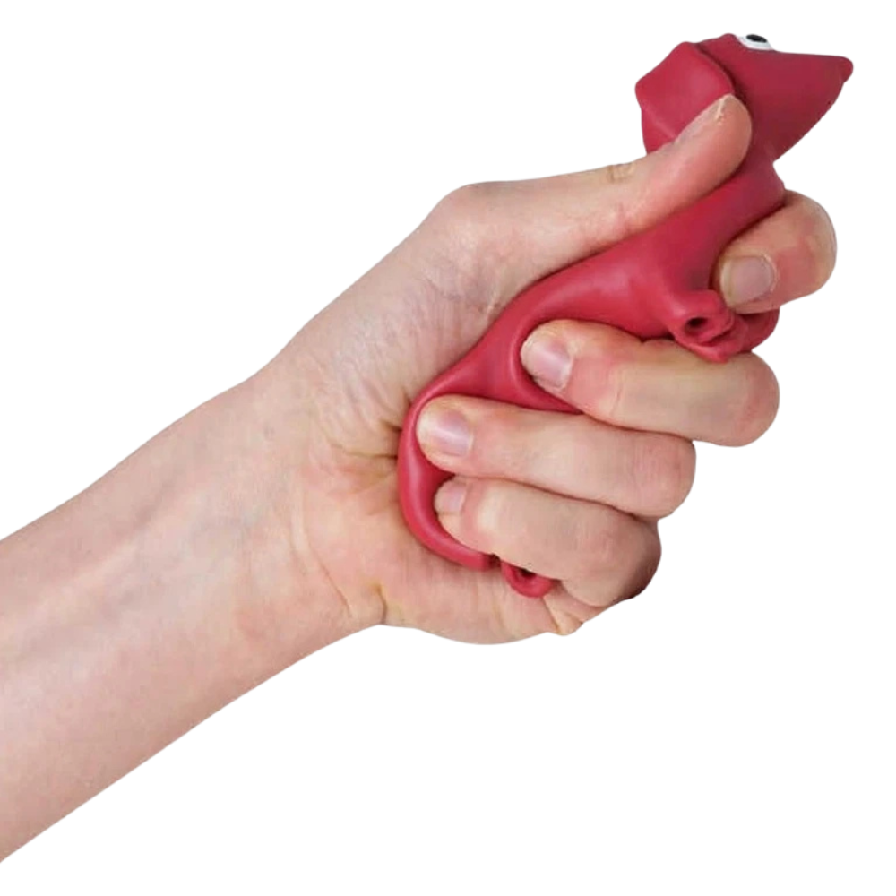 Stretchy Sausage Dog Sensory Fidget Toy Squishy Tactile Stress Relief Kids Adults