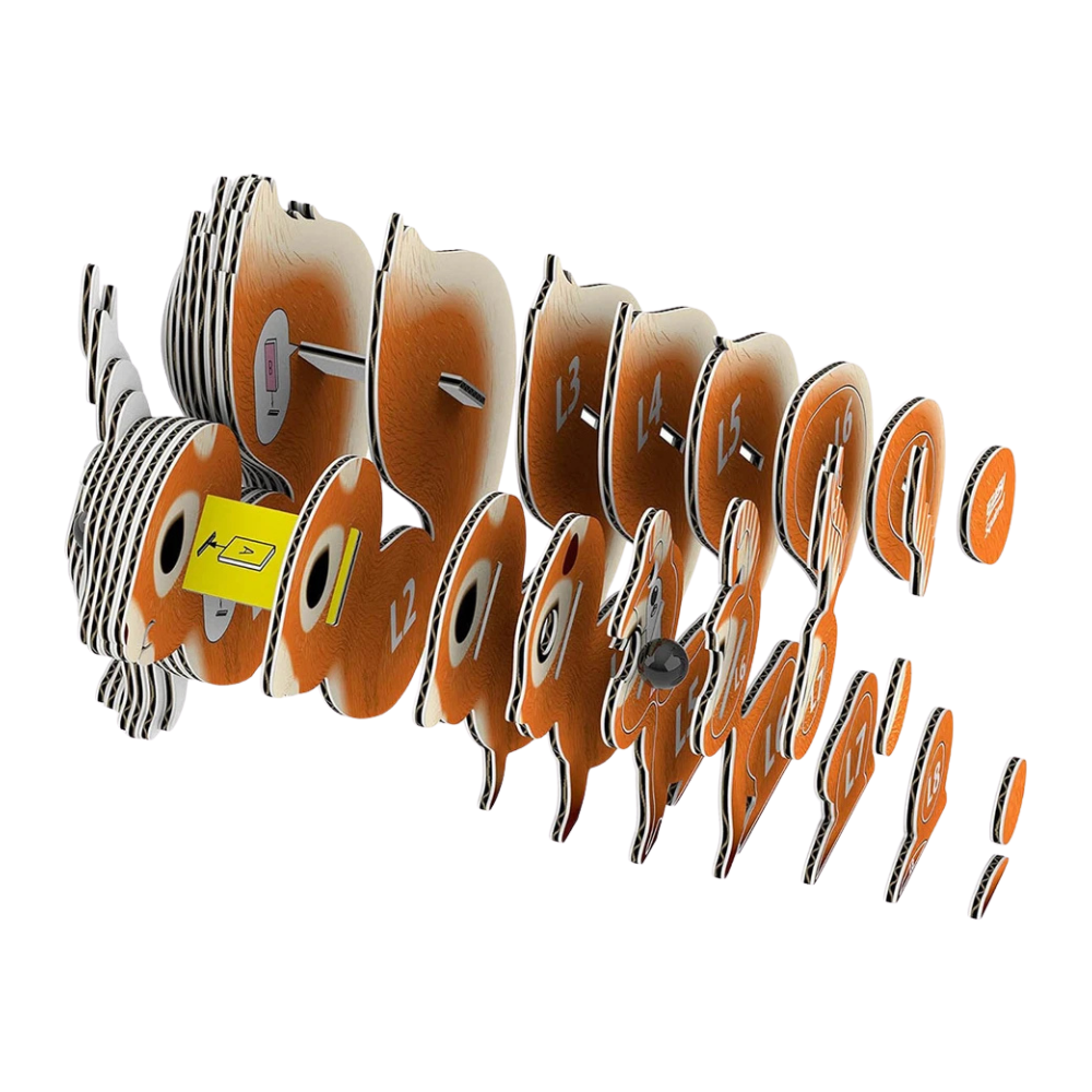 Eugy Squirrel 3d Craft Cardboard Model Kit Eco-Friendly Creative Puzzle & Collectible Toy for Kids Ages 6+