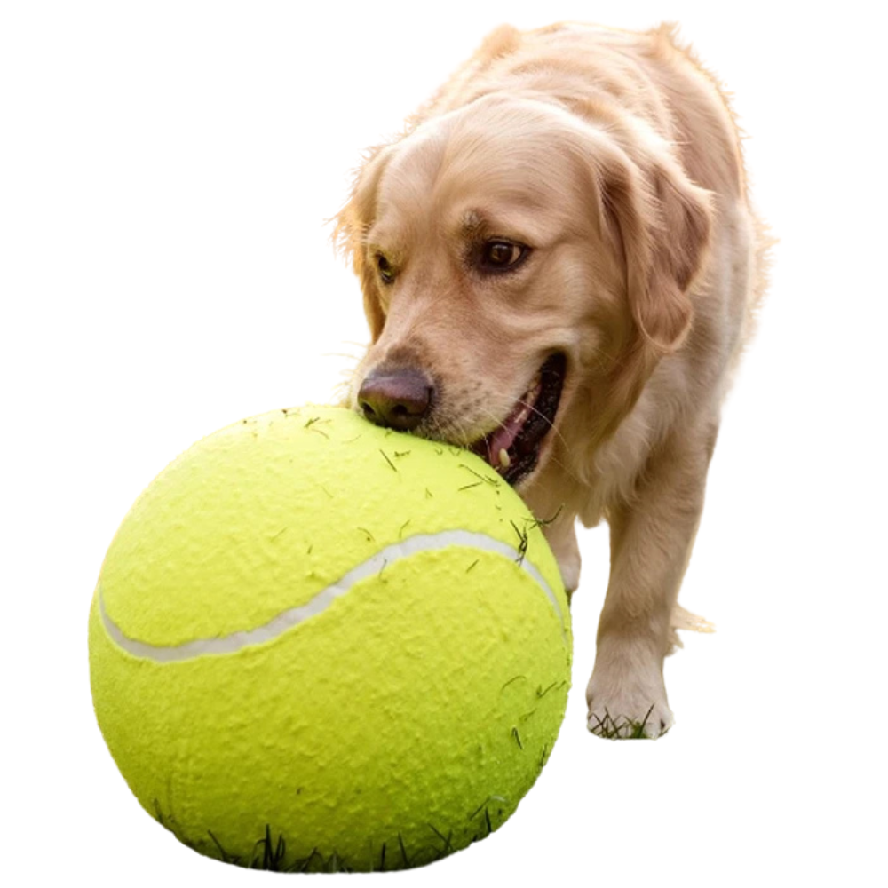 Giant 24cm Tennis Ball for Kids & Dogs Inflatable Outdoor Fetch Beach Garden Toy