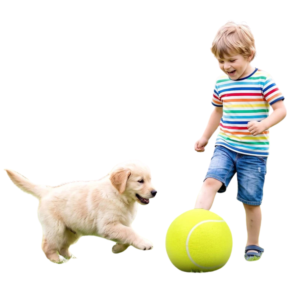 Giant 24cm Tennis Ball for Kids & Dogs Inflatable Outdoor Fetch Beach Garden Toy