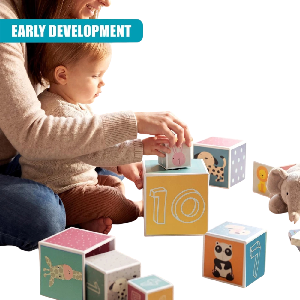 Stacking Blocks Nesting Cubes Baby Toddler Montessori Educational Toy Animals Numbers 1-10