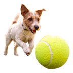 Giant 24cm Tennis Ball for Kids & Dogs Inflatable Outdoor Fetch Beach Garden Toy