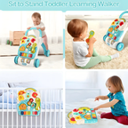 Multifunctional 2-in-1 Baby Walker with Detachable Activity Centre, Lights, Music and Piano Keys