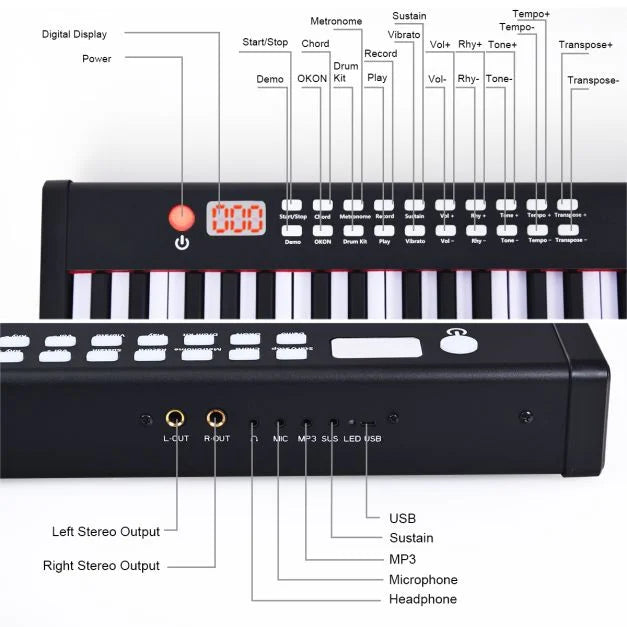 Portable Electronic Keyboard with Full-Size Weighted Keys, Digital Piano for All Ages
