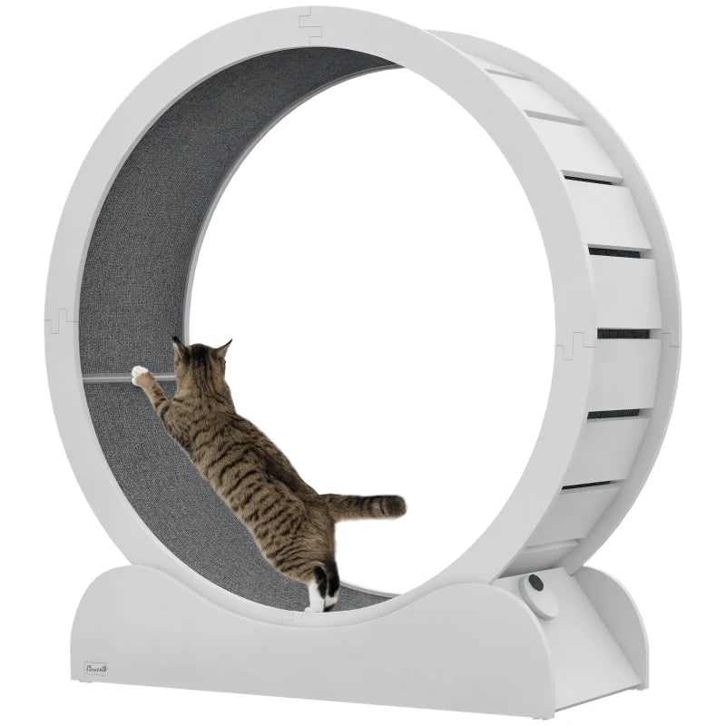 White Wooden Cat Exercise Wheel with Brake – 39.4 Inches