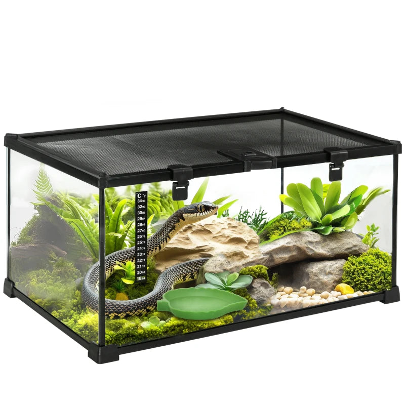 Glass Breeding Tank for Lizards & Spiders – Medium Size
