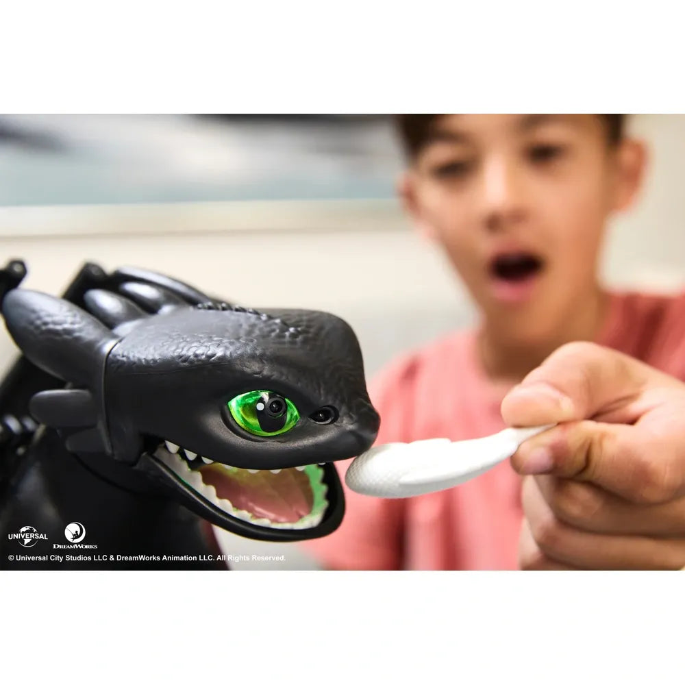 How to Train Your Dragon Tame & Train Interactive Toothless Toy