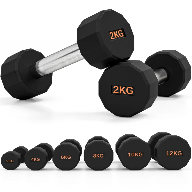 Dumbbells 2kg Pair – Men & Women Home Gym Equipment