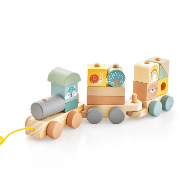 Wooden Toy Train Set with Stacking Blocks for Early Learning Learning Play & Development